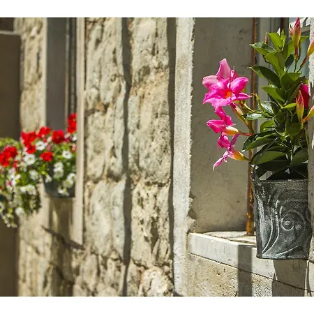 Veig Palace דירה ספליט