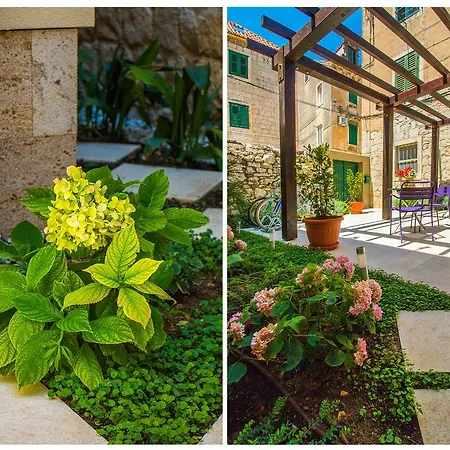 Veig Palace ספליט