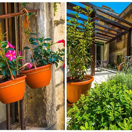 דירה Veig Palace