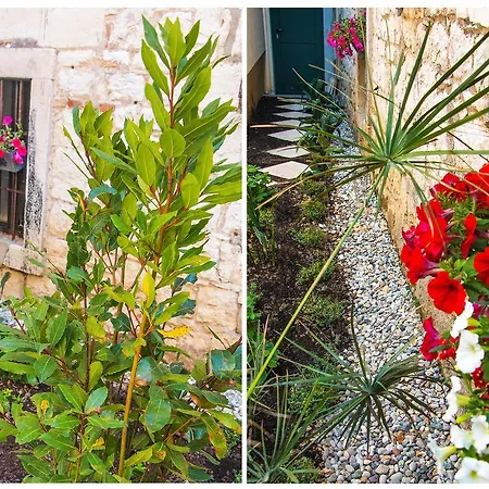 Veig Palace 公寓 斯普利特