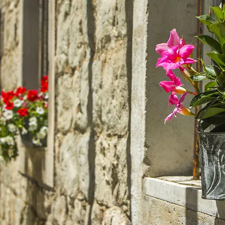 Veig Palace ספליט